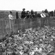 Illustration for article titled Terraforming Gone Wrong Resulted in a Plague of Rabbits